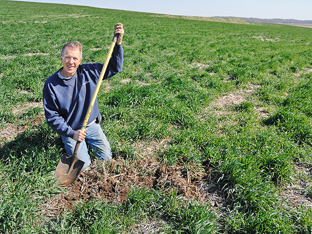 Cereal rye cover crops, combined with a commitment to no-till farming, are producing measurable results on the Berger farm, in southeast Iowa. (Progressive Farmer photo by Jim Patrico)